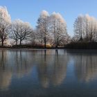 Weiher mit Raureifimpression