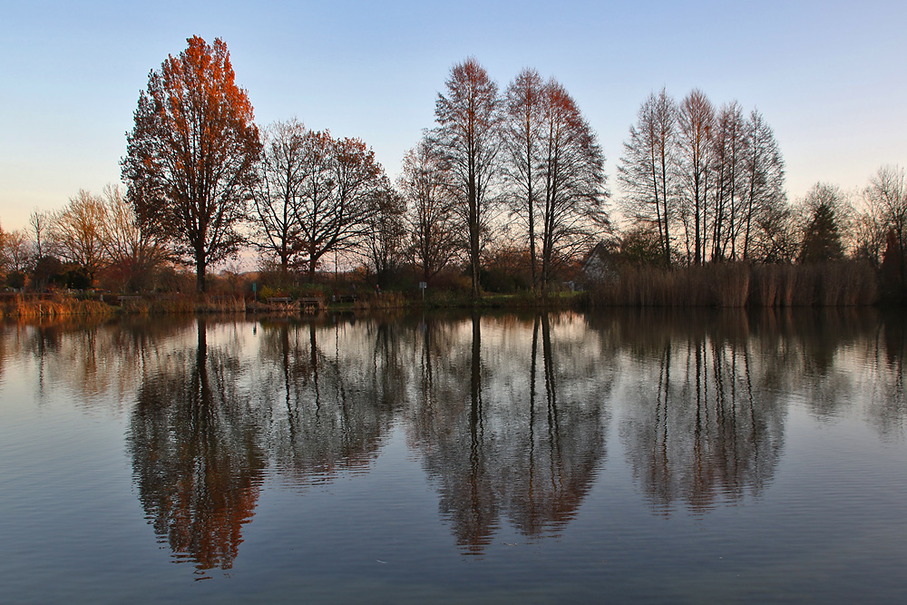 Weiher mit Spiegelung gegen Abend