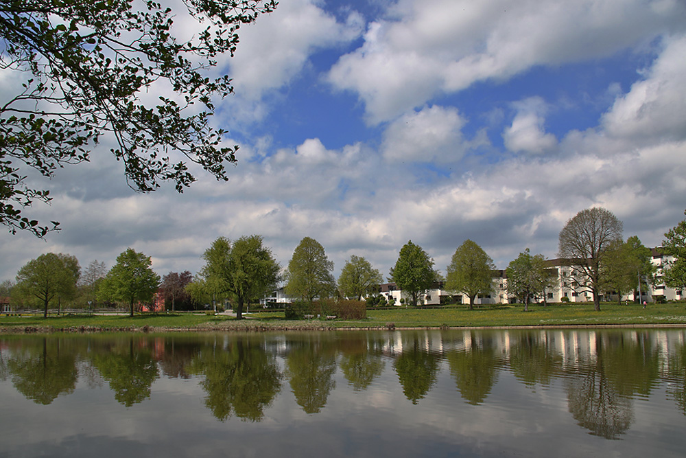 Weiher mit Spiegelungen