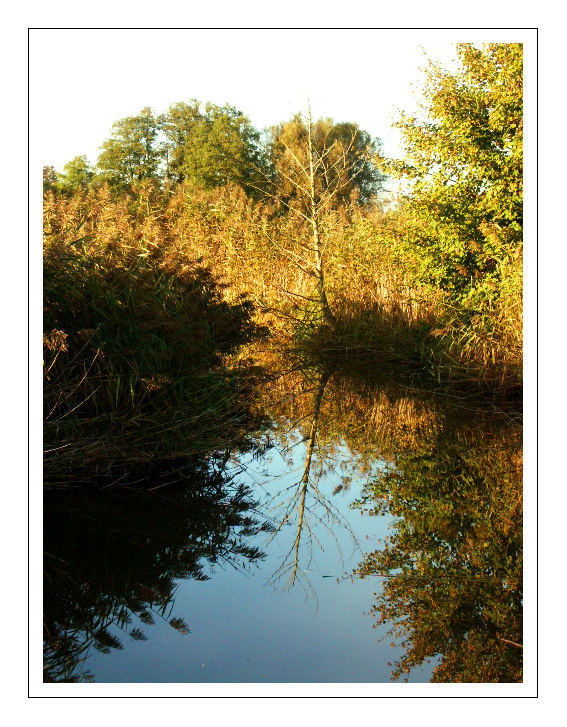 Weiher Nr. 2