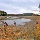 Weiher ohne Wasser