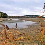 Weiher ohne Wasser