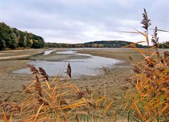 Weiher ohne Wasser