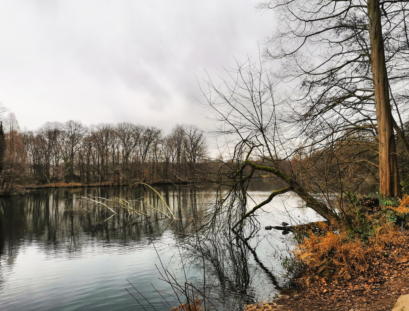 Weiher Saaler Mühle Regentag