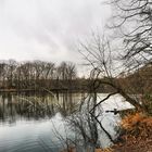 Weiher Saaler Mühle Regentag