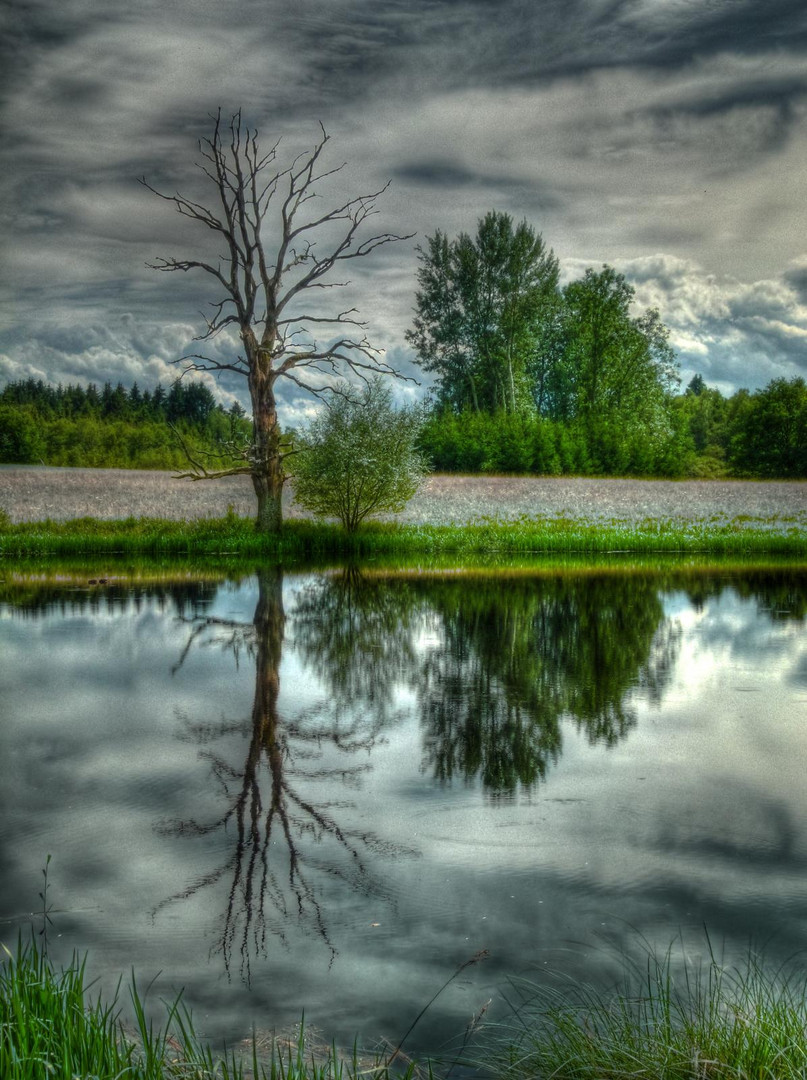 Weiher Seachtn bei Andechs