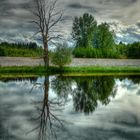 Weiher Seachtn bei Andechs