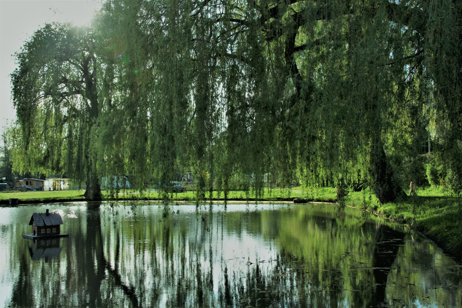 Weiher - Spiegeltag