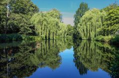 Weiher Spiegelung