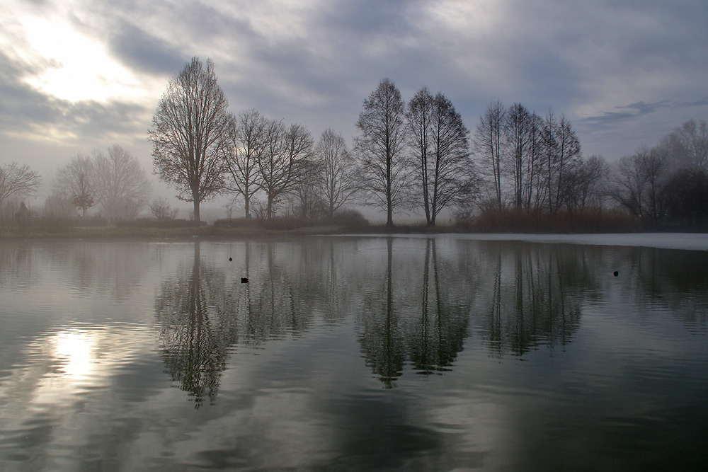 Weiher-Spiegelung am Morgen