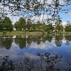 Weiher-Spiegelung am Sonntag