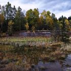 Weiher von der Aufbereitung der Grube Altenberg 1