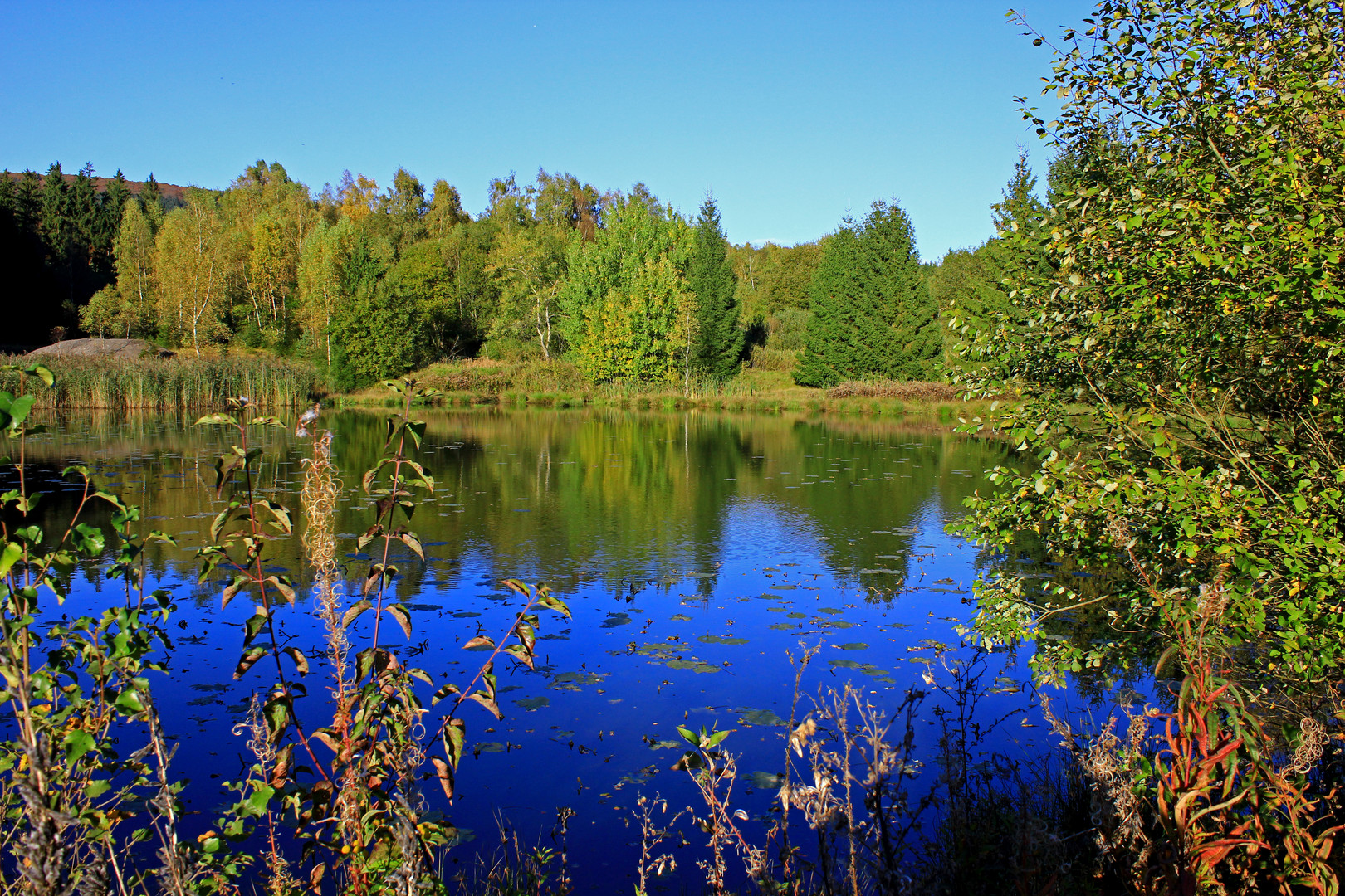 Weiher von der Aufbereitung der Grube Altenberg