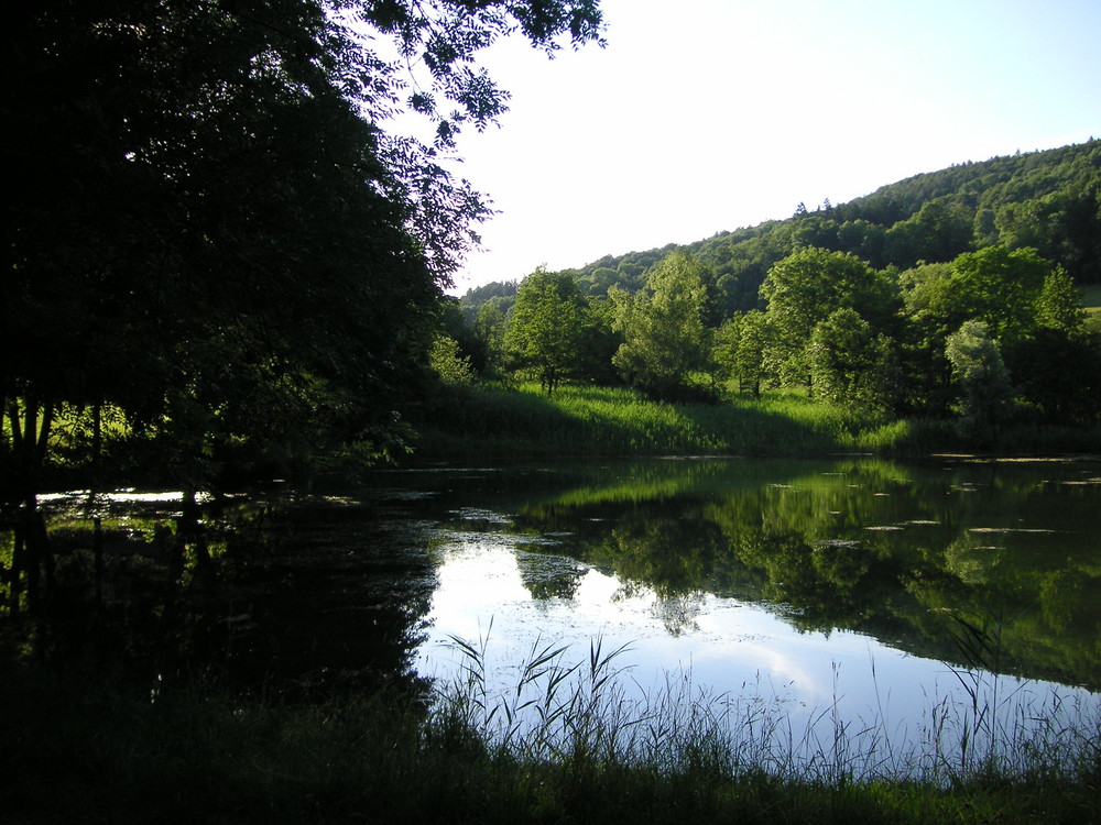 Weiher Weiningen 2