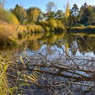 Weiher zum Spiegeltag