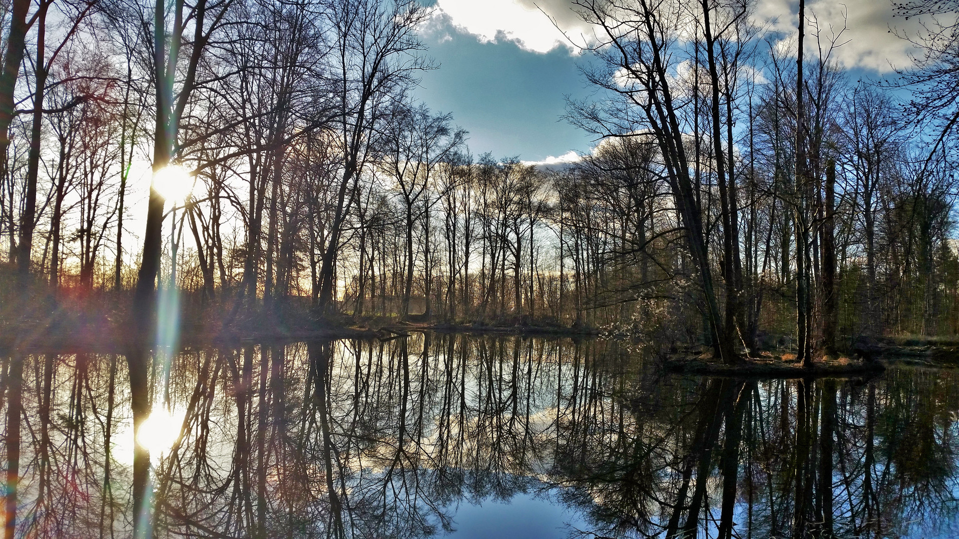 Weiherbächle, Oberndorf