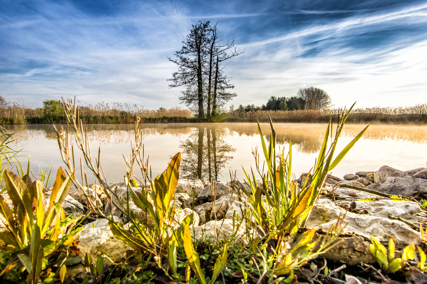 Weiher:Blick