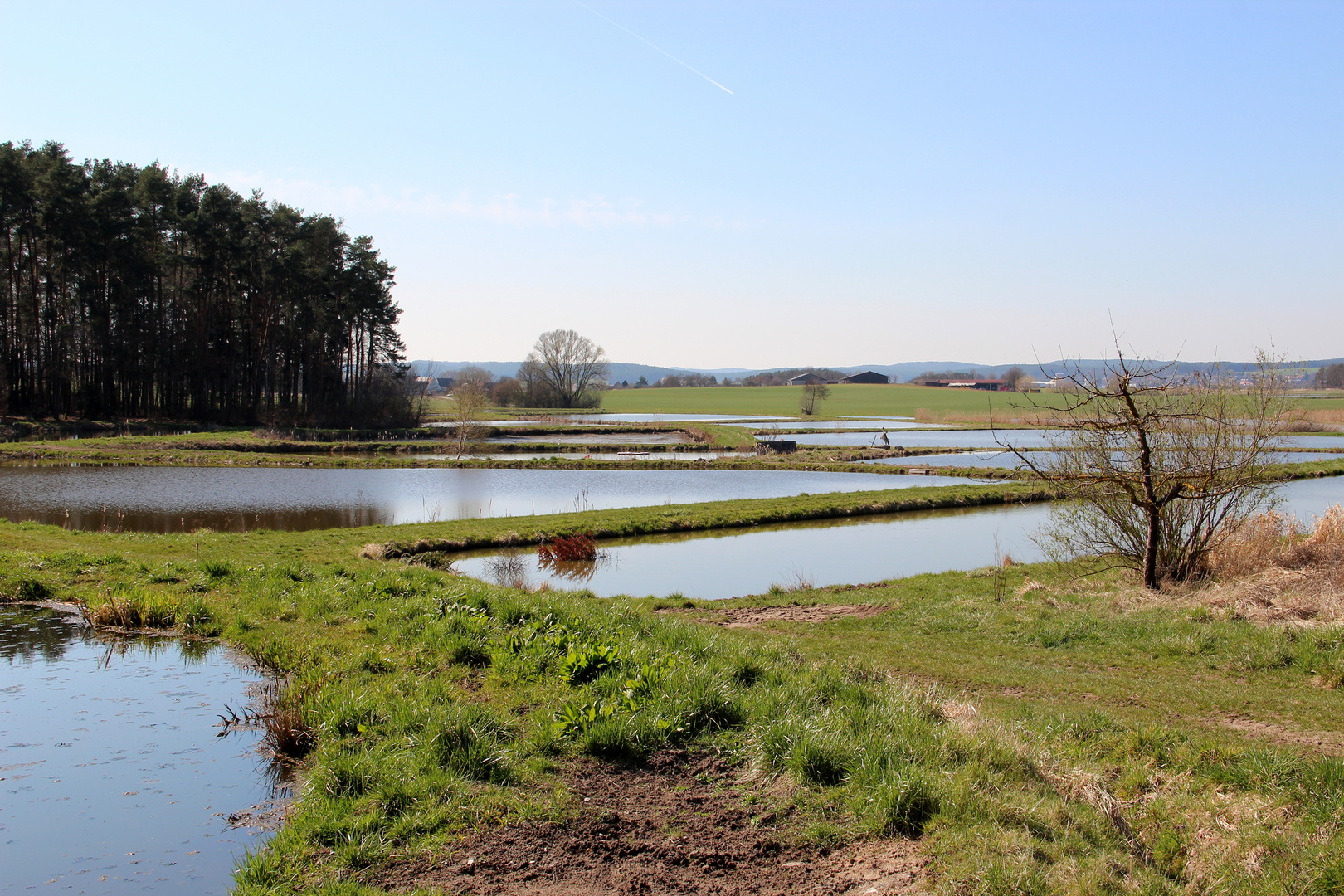 Weiherlandschaft