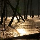 Weiherlandschaft im Saarbrücker Urwald