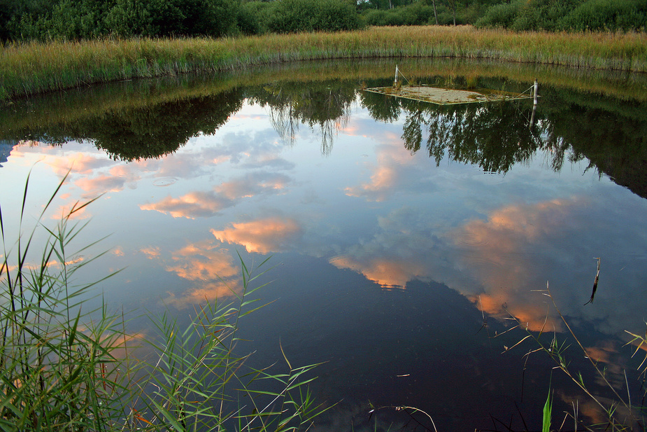 Weiherwolken