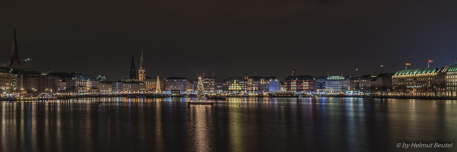 Weihnachliches Alsterpanorama