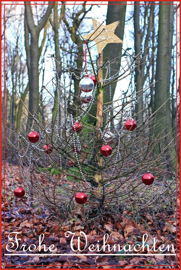 Weihnachsbaum.