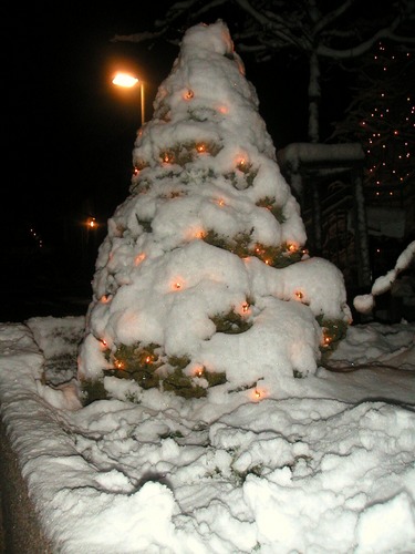 Weihnachstbaum im Schnee