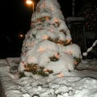 Weihnachstbaum im Schnee