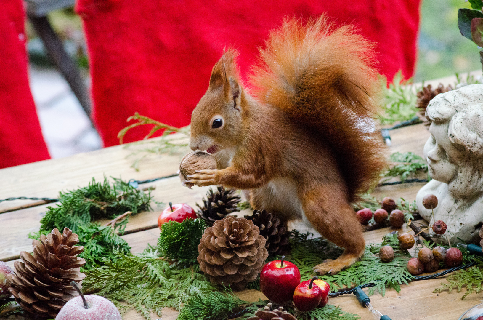 Weihnachstbesuch