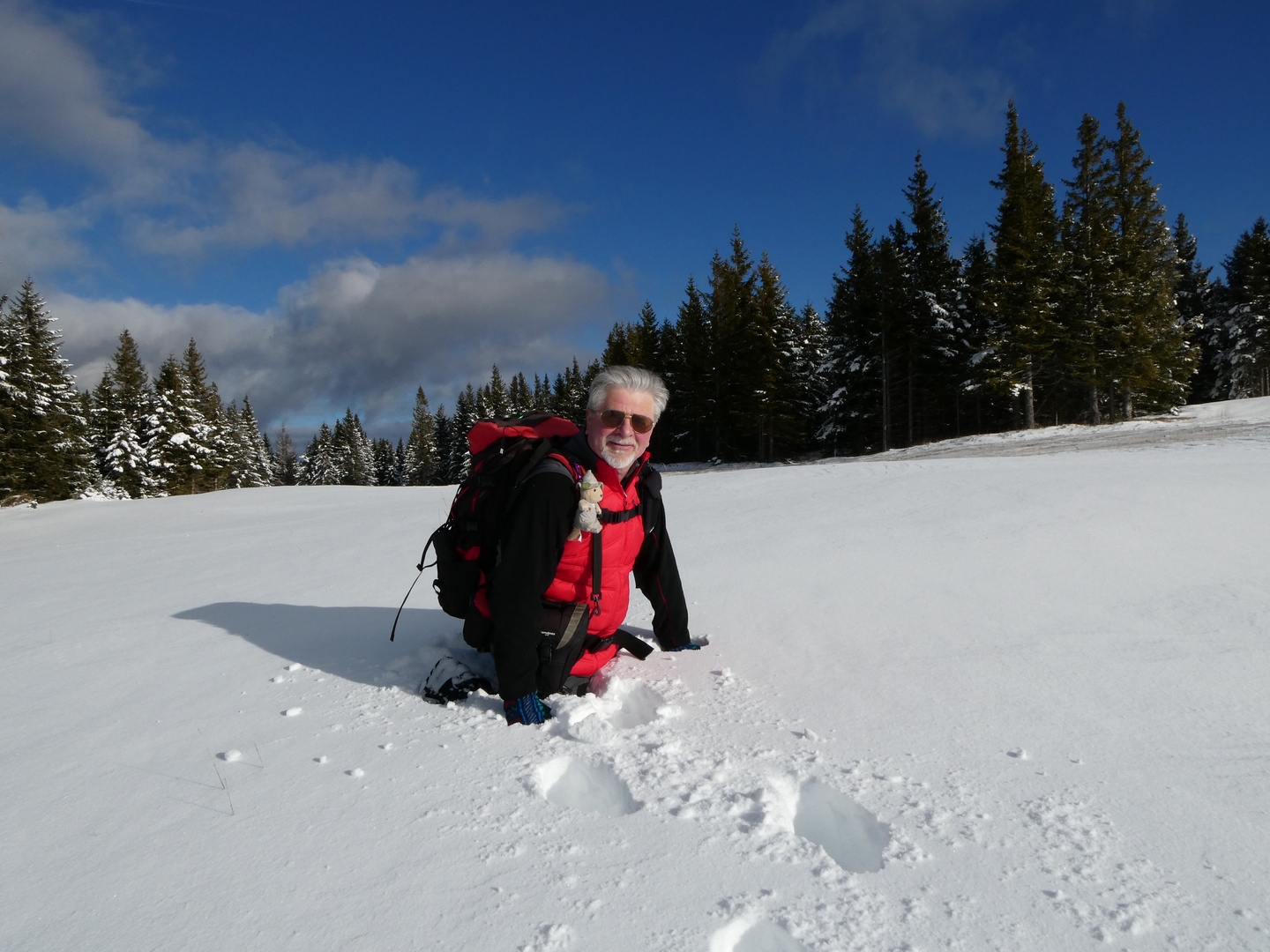 Weihnacht im Schnee