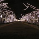 Weihnacht unter den Linden in Berlin 2008