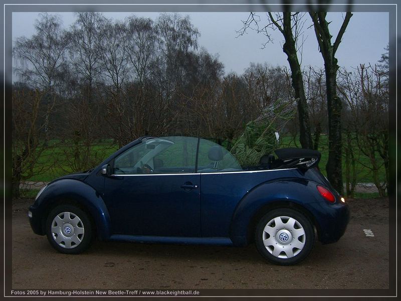 Weihnachtbaumtransport