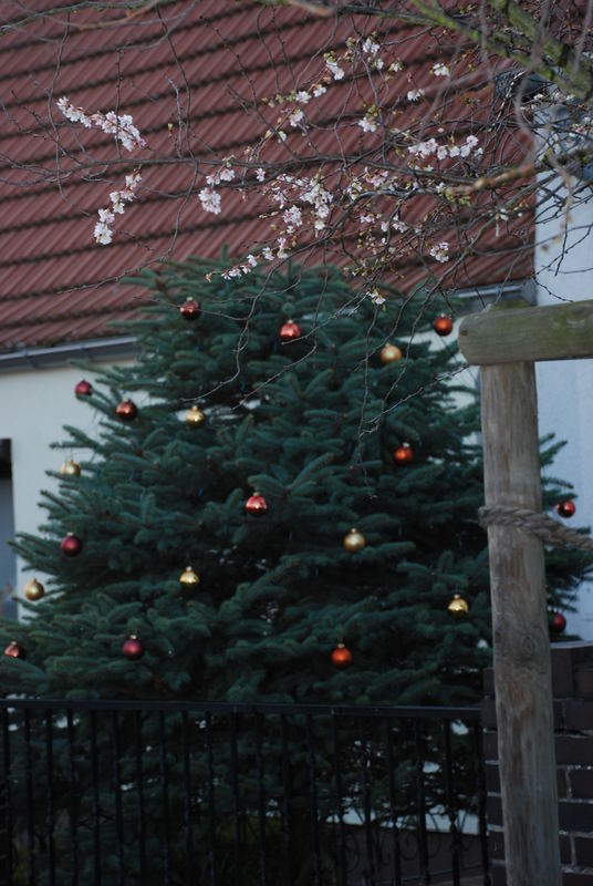 Weihnachten 2006 der 2. - Wer ist denn nun zeitgemäss ???