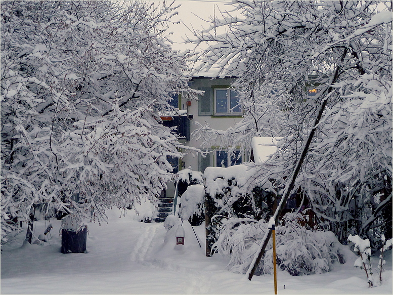 Weihnachten 2010