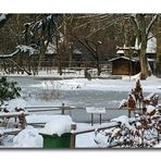 Weihnachten 2010 im Kölner Zoo...