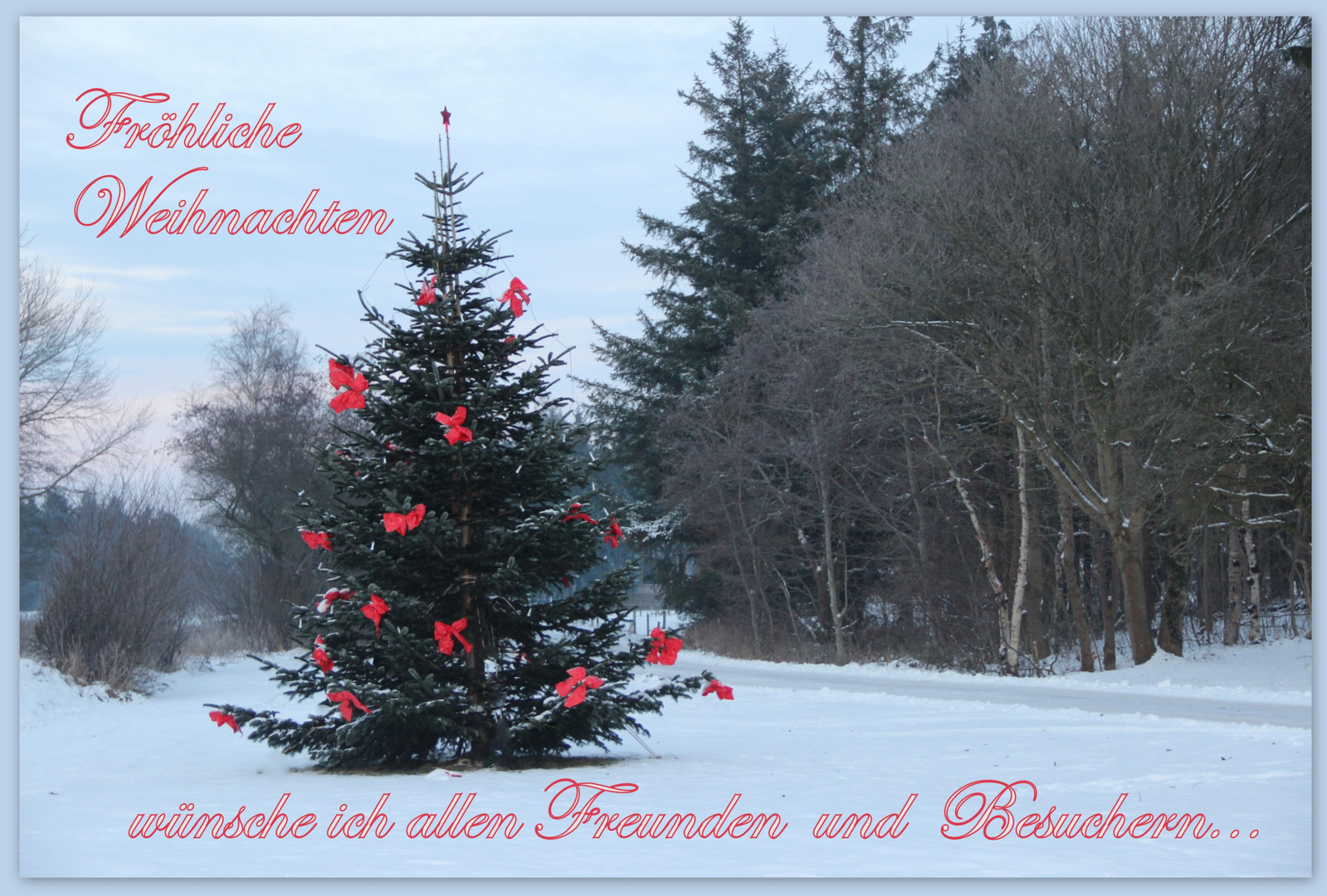 ~ Weihnachten 2012 in der 'fc' ~