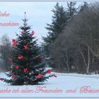 ~ Weihnachten 2012 in der 'fc' ~