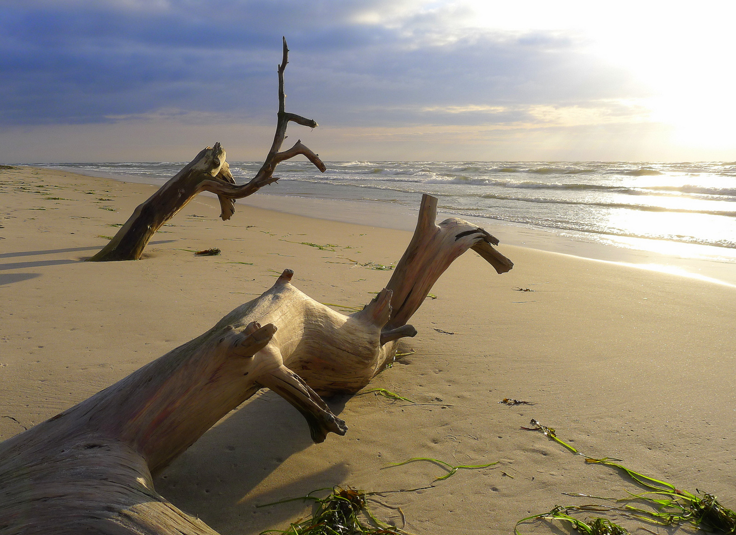 Weihnachten 2013 am Ostseestrand