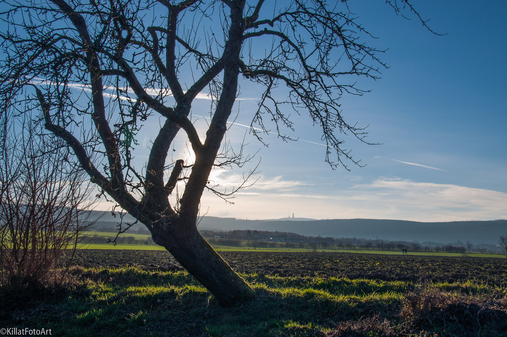 Weihnachten 2015 im Taunus