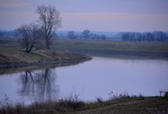 weihnachten 2019 an der elbe in torgau