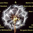 Weihnachten 2020 für Web