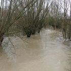 Weihnachten 2023 Hochwasser