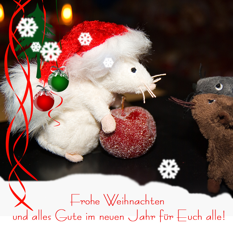 Weihnachten...