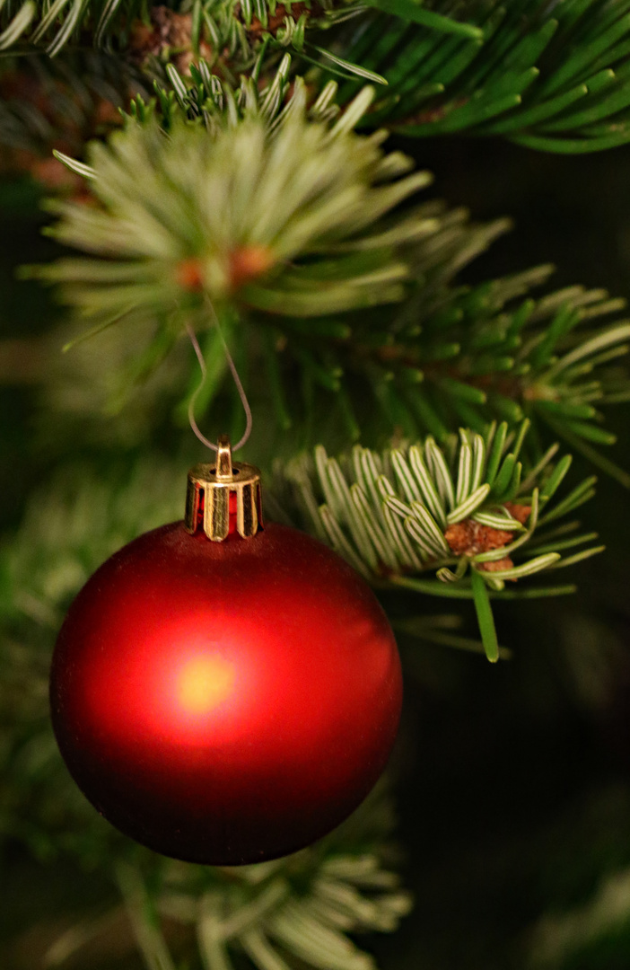 Weihnachten Foto & Bild | kunstfotografie & kultur, gratulation und