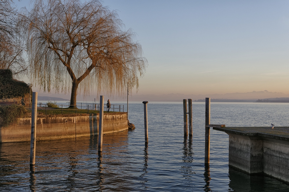 Weihnachten am Bodensee ???