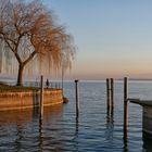 Weihnachten am Bodensee ???