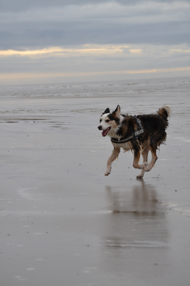 Weihnachten am Meer