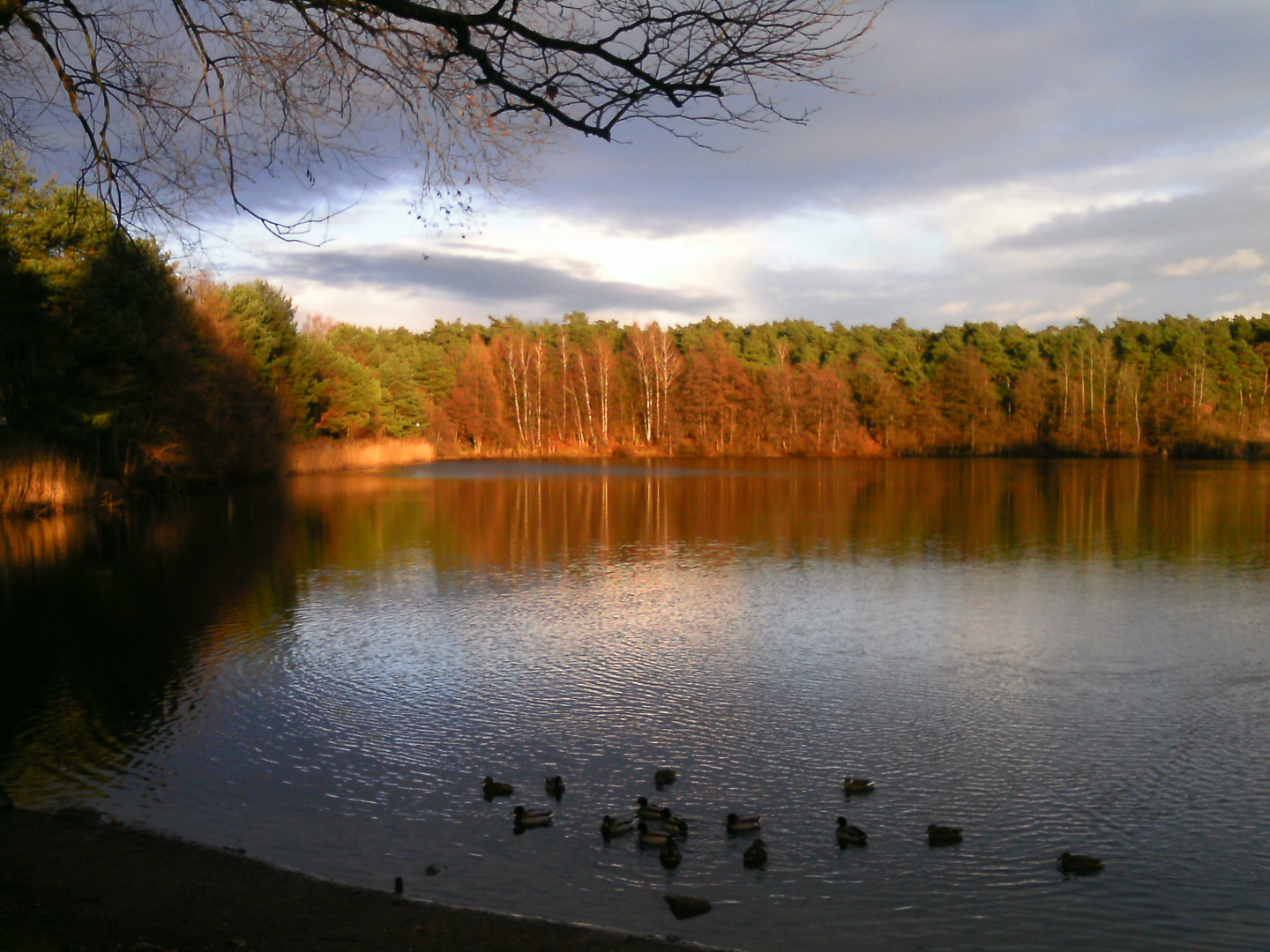 Weihnachten am See 2012