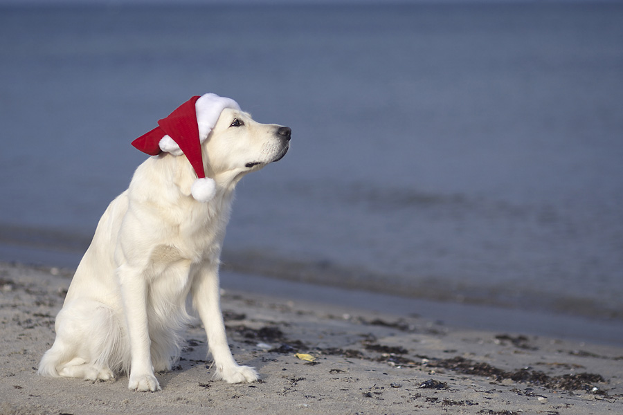 Weihnachten am Strand