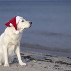 Weihnachten am Strand